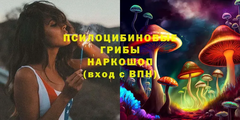 Галлюциногенные грибы MAGIC MUSHROOMS  сколько стоит  Печора 